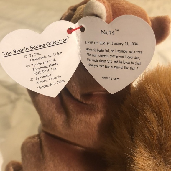 “Nuts” TY Beanie Baby, Brown Squirrel, Vintage Collectible 1996 - Picture 7 of 13